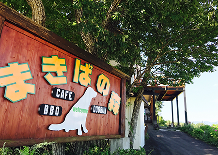 ドッグラン,岐阜,郡上,奥美濃,ひるがの,SA,犬,ドッグカフェ